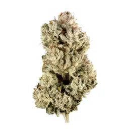 Gorilla Glue #4 - AAA - Hybrid - 1g to 28g - The Green Leaf Cannabis