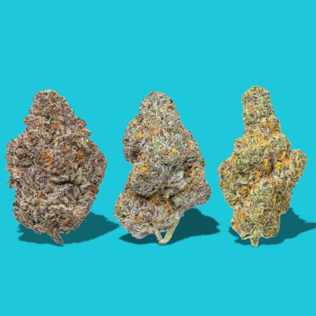THCA Flower-cannabis flower-thca-indica-sativa-hybrid-The Green Leaf