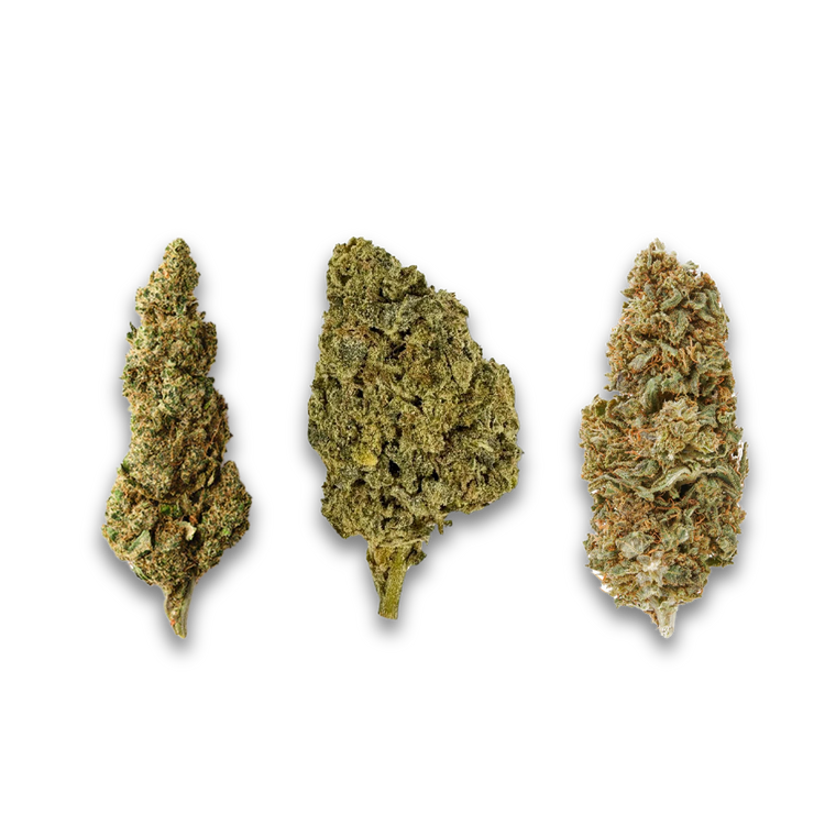 Sativa Flower-cannabis flower-sativa-The Green Leaf