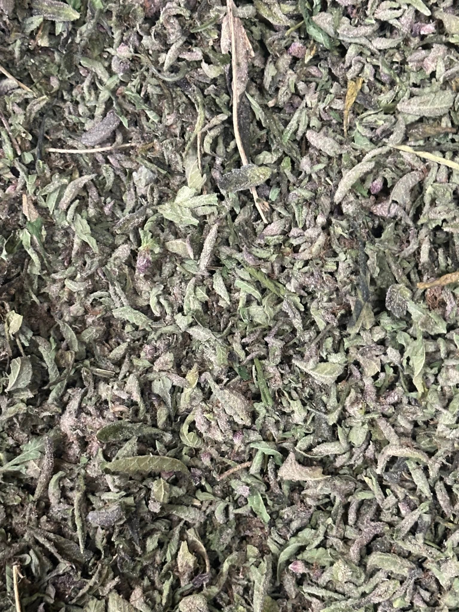 Bigfoot Breath trimmed cannabis flower from The Green Leaf Cannabis—Indica-dominant strain with chunky, resin-coated buds, earthy and diesel aroma, and deep green hues with orange pistils. Known for strong body relaxation, stress relief, and evening use.