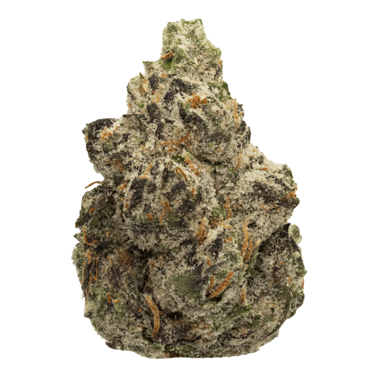 Bolo Runtz cannabis flower from The Green Leaf Cannabis—premium Hybrid strain with dense, trichome-coated buds in green and purple hues, offering a sweet candy and creamy gas aroma. Delivers smooth, balanced effects ideal for mood elevation, relaxation, and all-day enjoyment.