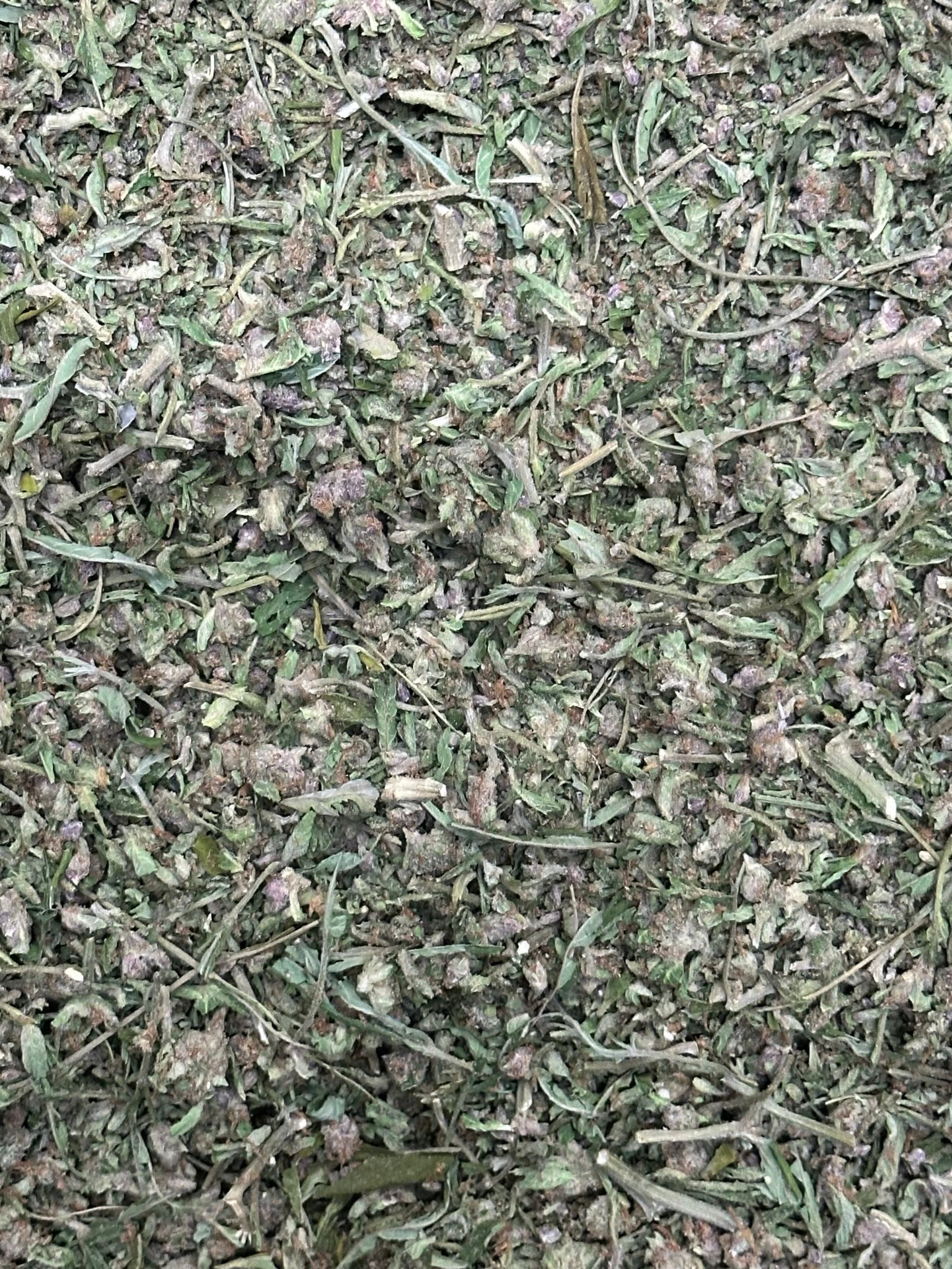 High-quality Critical Kush trimmed cannabis flower from The Green Leaf Cannabis, featuring dense Indica-dominant buds with dark green hues, orange pistils, and a heavy coating of trichomes—ideal for relaxation, pain relief, and evening use.