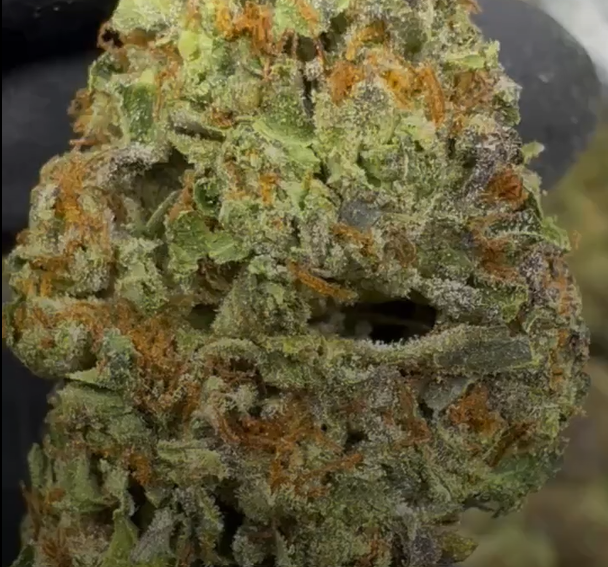 Gelato 41 cannabis flower from The Green Leaf Cannabis—top-shelf Hybrid strain with dense, purple-green buds, heavy trichome frosting, and a sweet, creamy aroma with hints of citrus and gas. Known for its smooth, euphoric effects, perfect for relaxation and creative focus.