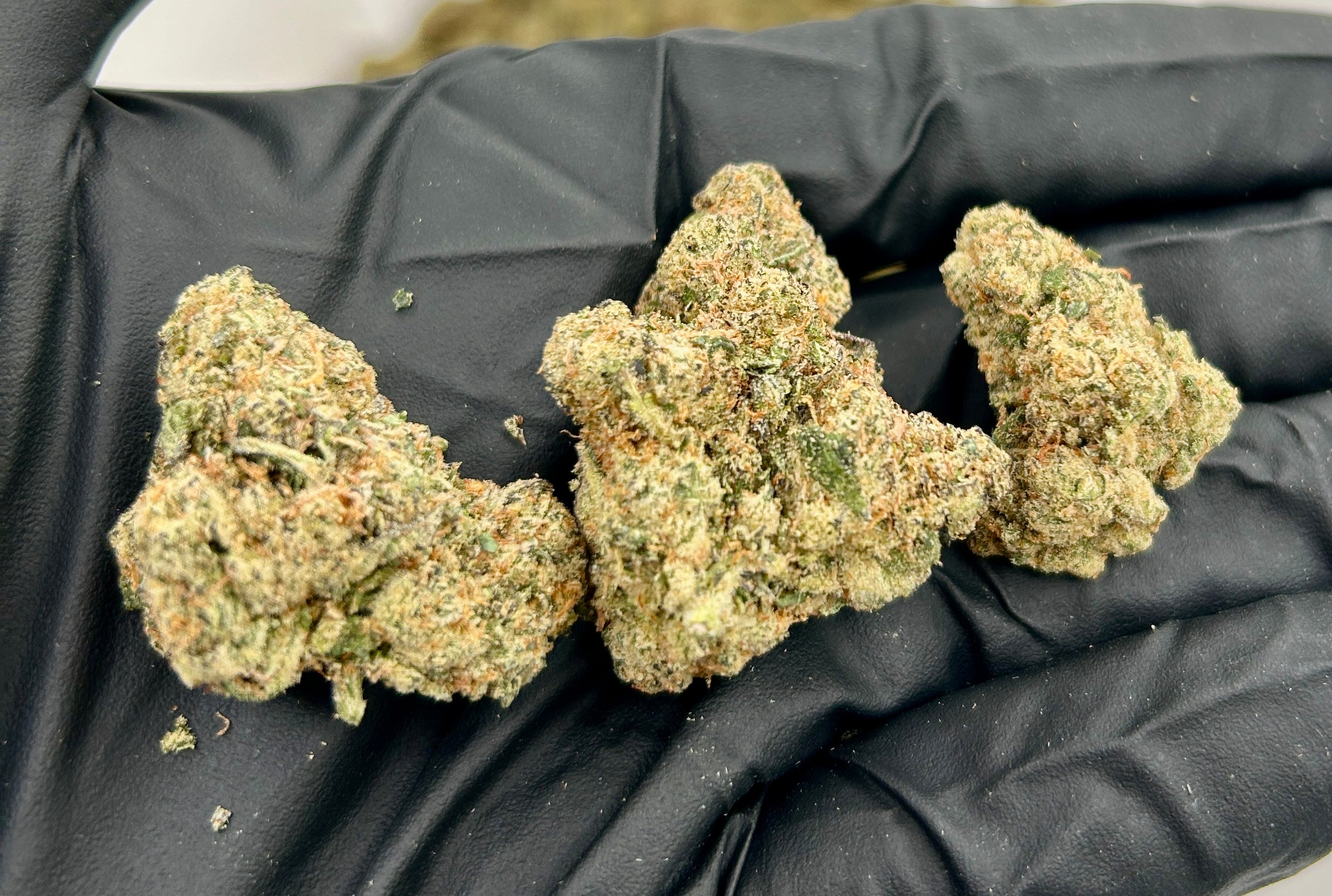 Gelato Runtz cannabis flower from The Green Leaf Cannabis—high-end Hybrid strain combining the sweet, fruity flavors of Runtz with the creamy, smooth notes of Gelato. Features colorful, trichome-heavy buds with purple and green hues, delivering balanced effects of euphoria, relaxation, and creativity.