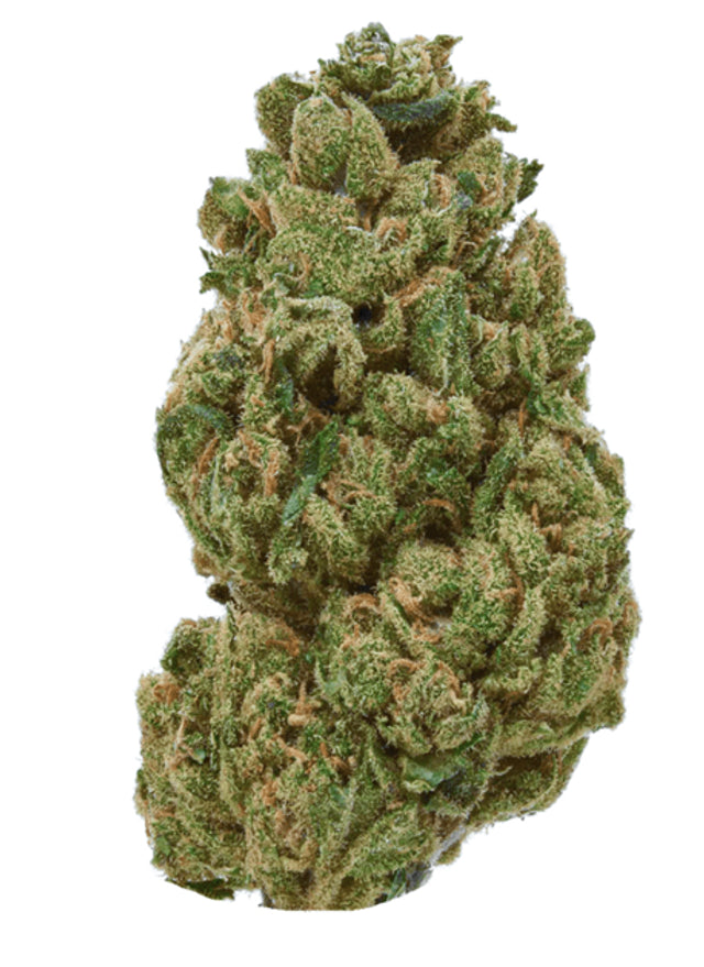 Girl Scout Cookies THCA Flower- Indica - 3.5g - Enjoy