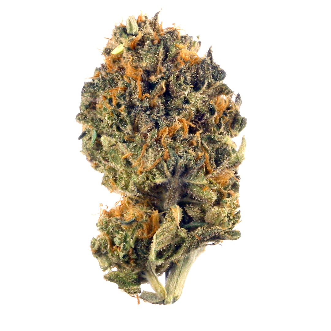 Grape Jelly cannabis flower from The Green Leaf Cannabis—Hybrid strain with frosty, purple-hued buds and vibrant orange hairs, emitting a sweet, fruity grape aroma with subtle earthy notes. Known for its calming, euphoric effects that ease stress and enhance mood, perfect for anytime use.