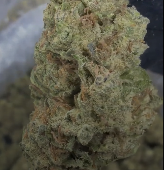 LA Kush Cake cannabis flower from The Green Leaf Cannabis—Indica-dominant Hybrid with dense, frosty buds in deep green and purple tones, rich vanilla and earthy cake aroma, and heavy trichome coverage. Delivers calming, sedative effects ideal for stress, pain, and nighttime use.