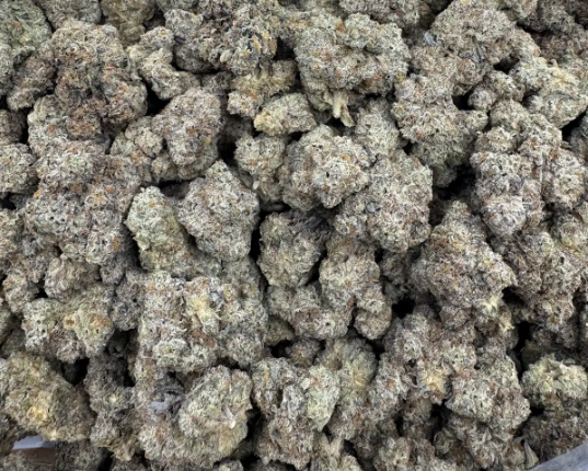 Lemon Drop cannabis flower from The Green Leaf Cannabis—sativa-dominant strain with bright green, frosty buds, zesty lemon aroma, and uplifting, energizing effects. Packed with citrus terpenes and ideal for daytime use, focus, and mood elevation.