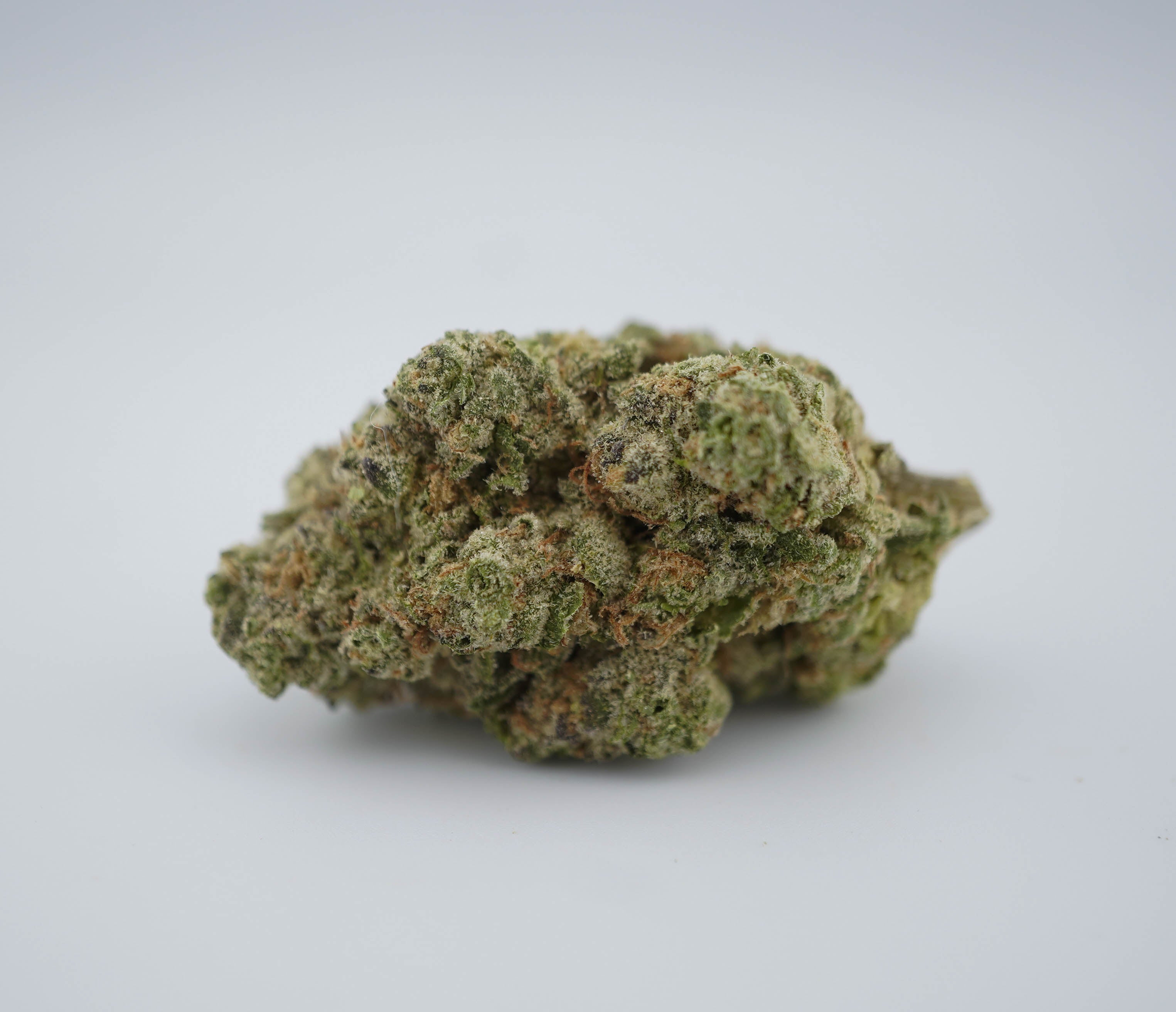 Mango Mentality cannabis flower from The Green Leaf Cannabis—sativa-dominant Hybrid with bright green, trichome-dusted buds and orange hairs, bursting with tropical mango and citrus aromas. Delivers uplifting, energizing effects ideal for focus, creativity, and daytime productivity.