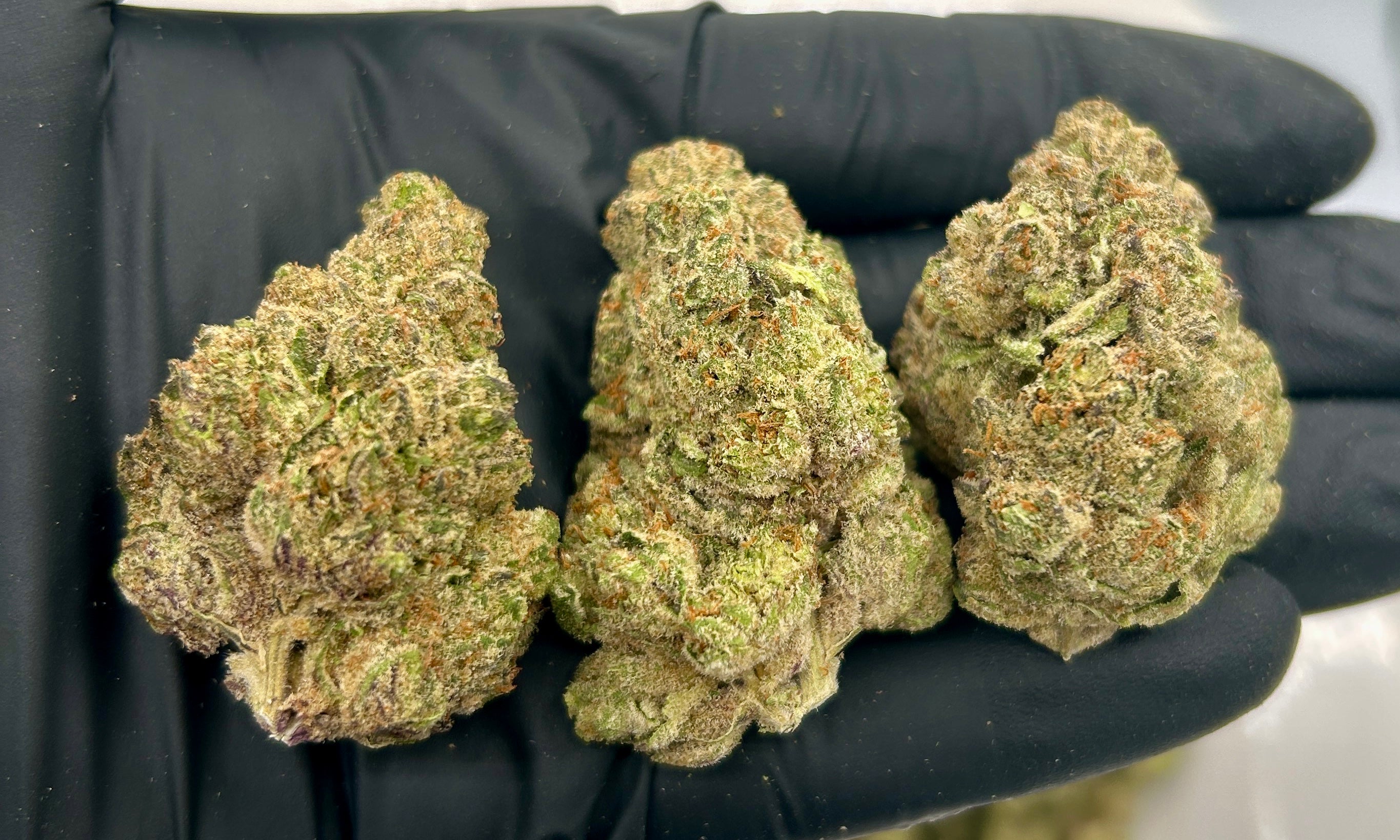 Mochi cannabis flower from The Green Leaf Cannabis—premium Hybrid strain with dense, frosty buds in shades of green and purple, featuring a sweet, creamy, and earthy aroma. Known for its relaxing yet uplifting effects, ideal for stress relief, creativity, and balanced mood support.