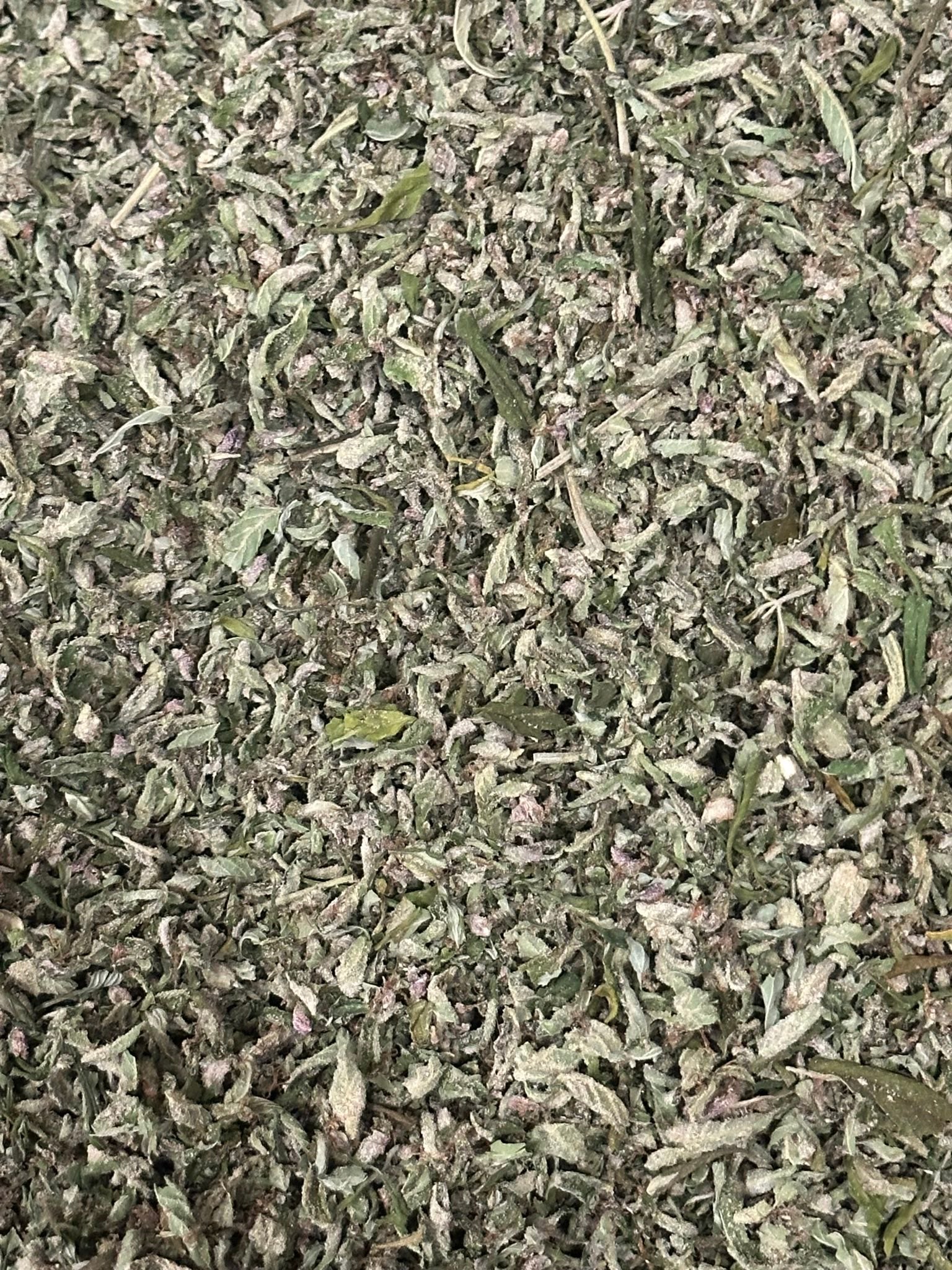 Peanut Butter Truffle cannabis trim from The Green Leaf Cannabis—fragrant Hybrid-Indica blend featuring trichome-rich sugar leaves and small buds with nutty, earthy aromas. Ideal for pre-rolls, infusions, and concentrate production.