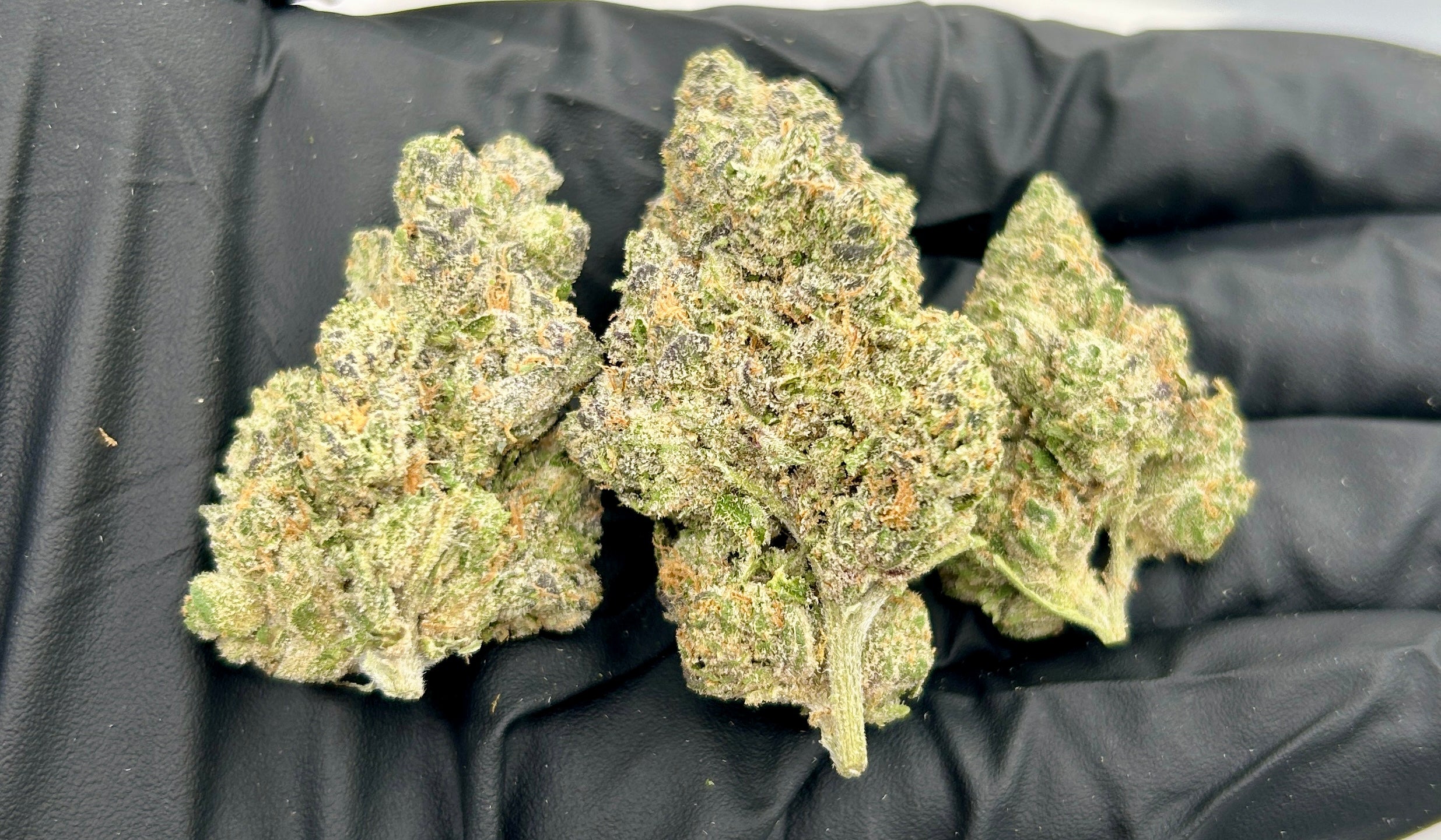 Space Pop cannabis flower from The Green Leaf Cannabis—exotic Hybrid strain with colorful, trichome-coated buds in purple and green hues, offering a sweet, candy-like aroma with hints of gas and fruit. Delivers balanced, euphoric effects with a relaxing finish, perfect for any time of day.