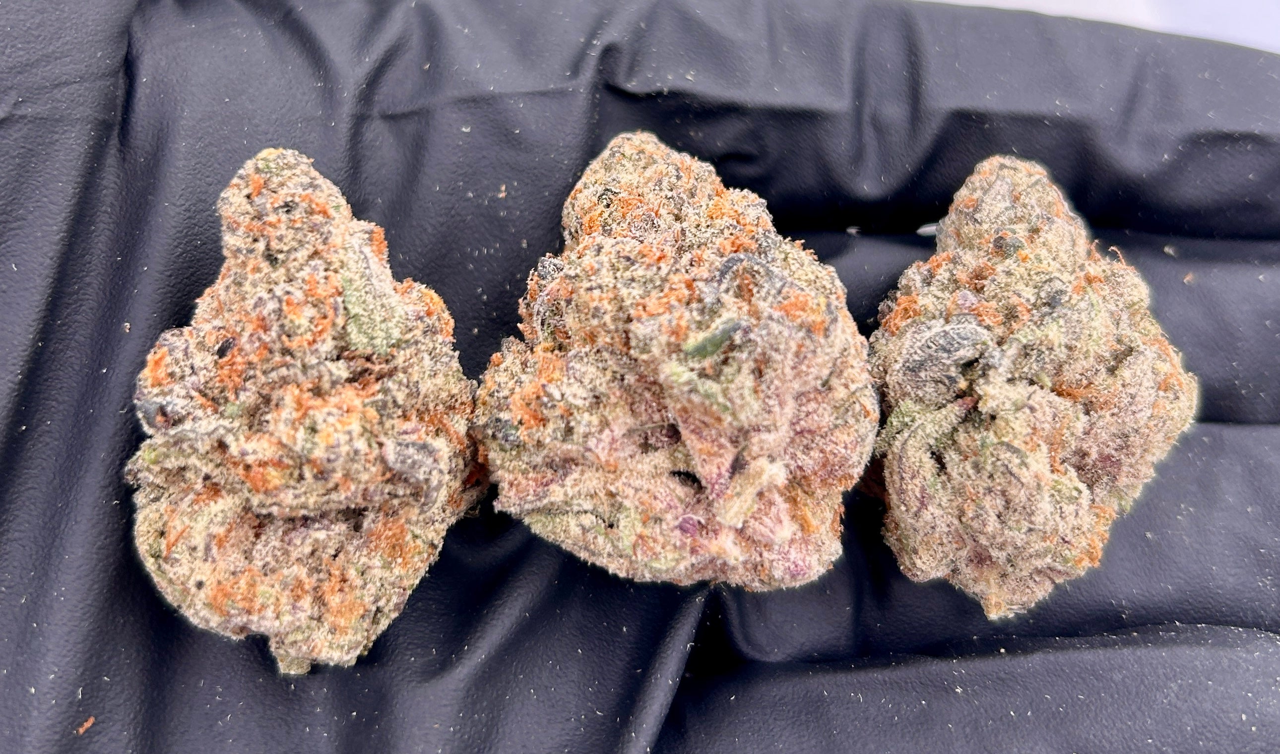 Specimen X cannabis flower from The Green Leaf Cannabis—rare, exotic Hybrid strain featuring dense, trichome-rich buds with green and purple hues, a pungent aroma of gas and earth, and powerful effects that balance mental clarity with full-body relaxation.