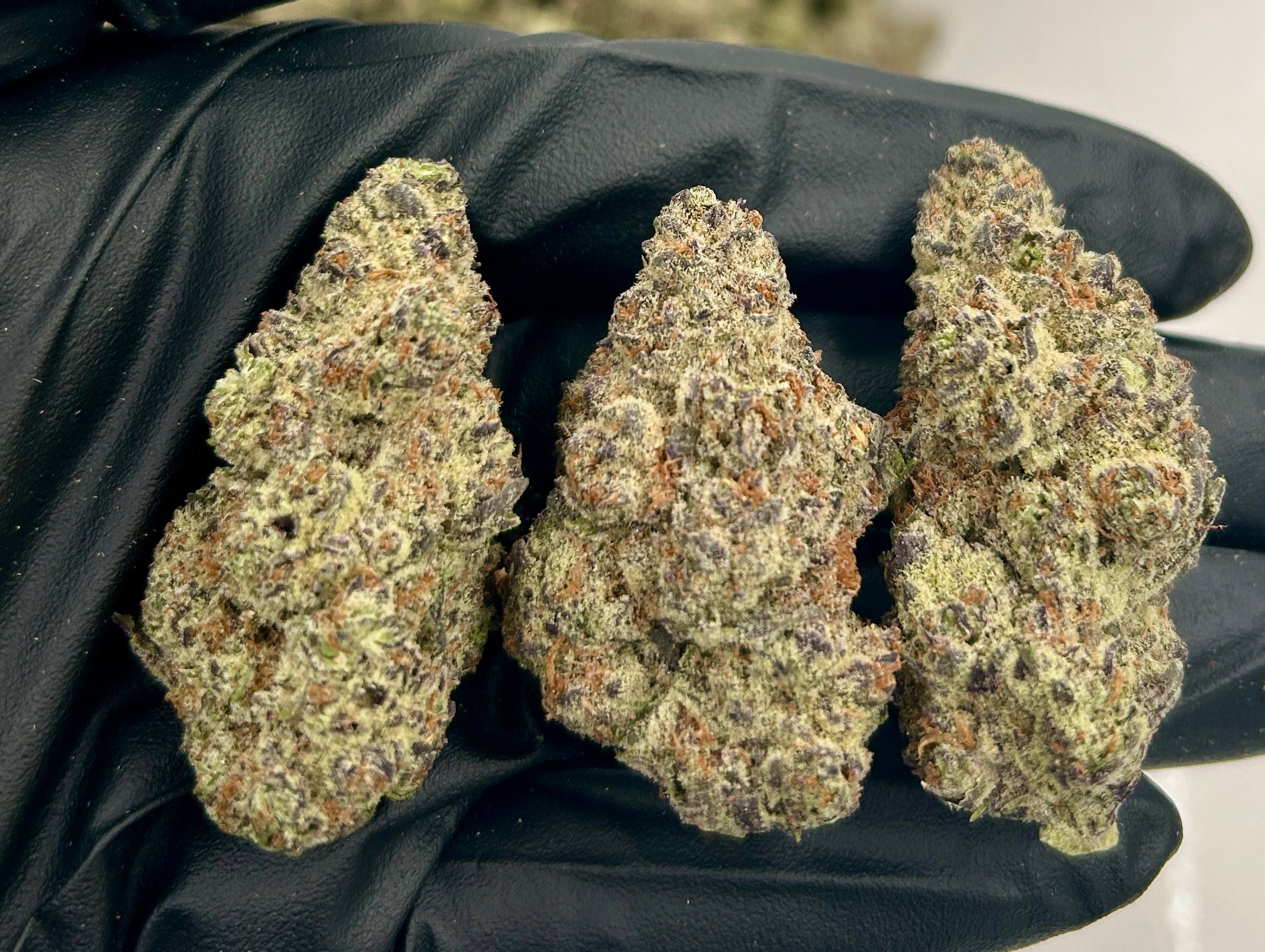 Sugar Tart cannabis flower from The Green Leaf Cannabis—Hybrid strain featuring dense, frosty buds with pink, green, and purple hues, and a sweet, fruity aroma with hints of tart citrus and creamy pastry. Known for its balanced effects, offering mental uplift and gentle body relaxation.