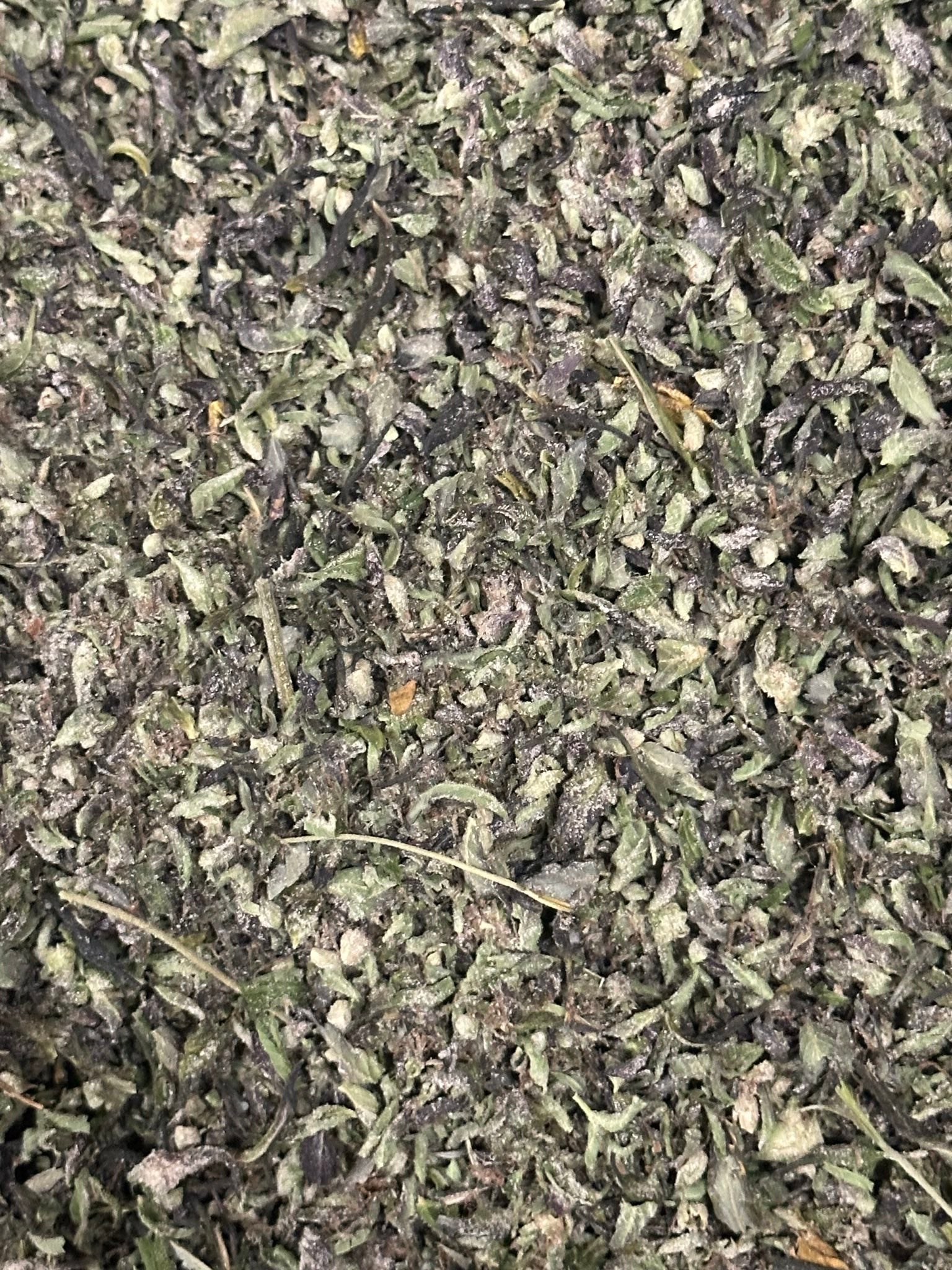 Triple Hashburger trimmed cannabis flower from The Green Leaf Cannabis—high-potency, Indica-leaning buds with a gassy, skunky aroma, dense structure, and frosty trichomes. Expertly trimmed for top-shelf appearance and ideal for relaxation and heavy body effects.