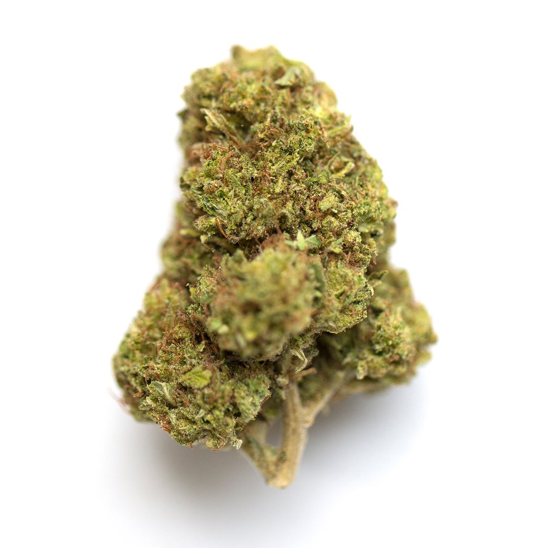 Biscotti Mintz cannabis flower from The Green Leaf Cannabis—Indica-leaning Hybrid with dense, dark purple and green buds, fiery orange hairs, and a heavy layer of trichomes. Features a rich dessert-like aroma with minty, sweet, and earthy notes, ideal for relaxation and stress relief.