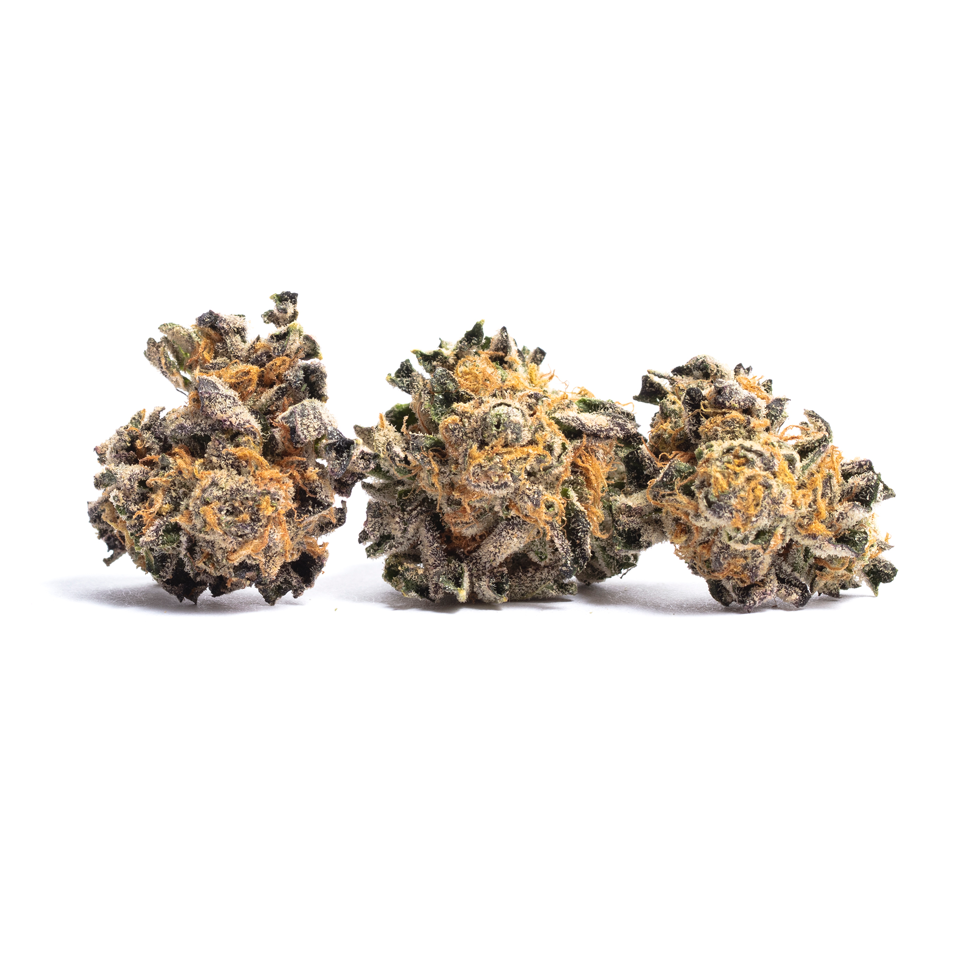 Black Grape Soda cannabis flower from The Green Leaf Cannabis—exotic Hybrid strain with deep purple buds, orange pistils, and a thick layer of trichomes. Features a bold, sweet grape soda aroma with earthy undertones and delivers relaxing, mood-lifting effects ideal for afternoon or evening use.
