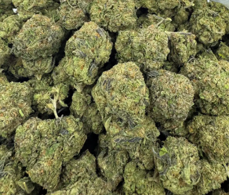 Blue Drip cannabis flower from The Green Leaf Cannabis—Hybrid strain with frosty, compact buds in shades of green and purple, accented by orange pistils. Features a sweet berry and gas aroma profile, delivering balanced effects ideal for relaxation, mood elevation, and creative focus.