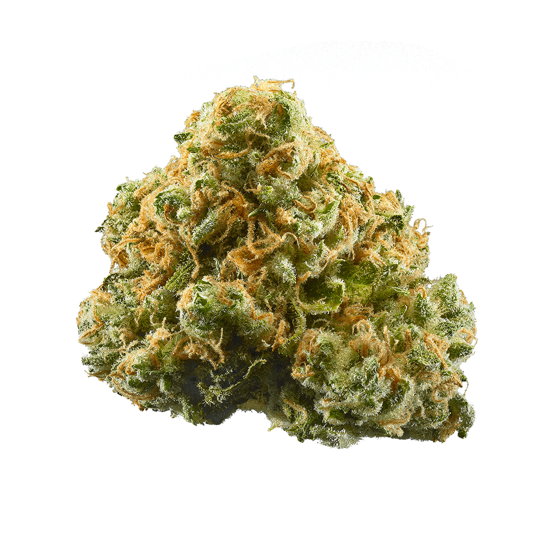 Cadillac Rainbowz cannabis flower from The Green Leaf Cannabis—exotic Hybrid strain with colorful, trichome-drenched buds in shades of purple, green, and orange. Offers a sweet candy, fruity gas aroma and delivers balanced, euphoric effects with a smooth, relaxing body high ideal for any time of day.