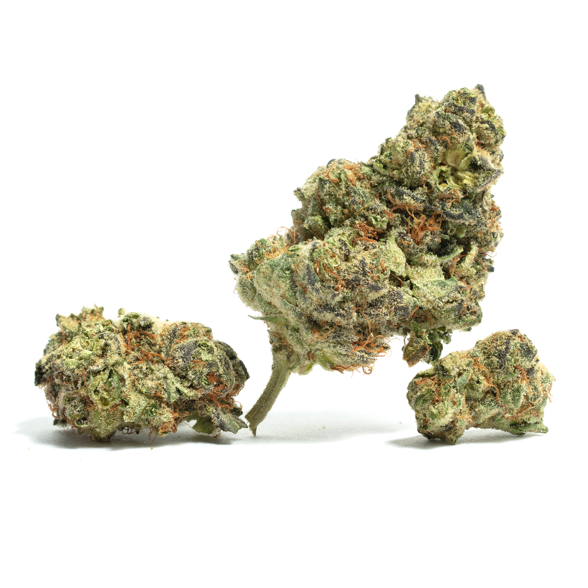 Candy Apple cannabis flower from The Green Leaf Cannabis—sativa-dominant Hybrid strain with frosty, lime-green buds and bright orange pistils, bursting with a sweet apple, vanilla, and citrus aroma. Delivers uplifting, energizing effects perfect for focus, creativity, and daytime use.