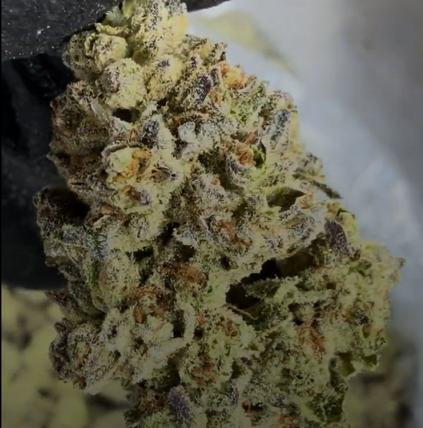 Cookies & Cream cannabis flower from The Green Leaf Cannabis—Hybrid strain with dense, frosty buds in green and purple tones, rich in trichomes and exuding a sweet vanilla and cookie dough aroma. Offers smooth, balanced effects ideal for daytime relaxation and stress relief.