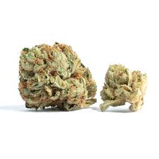Cherry Gelato THCA Flower - Hybrid - 1g to 1 pound - AAA - The Green Leaf Cannabis