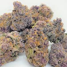 Tropicana Cherry THCA Flower - Hybrid - 1g to 1 pound - AA - The Green Leaf Cannabis