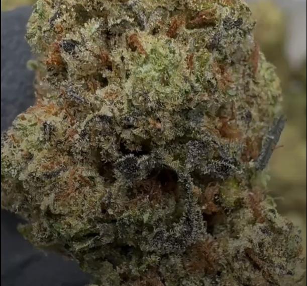 Garlic Mintz cannabis flower from The Green Leaf Cannabis—Indica-dominant strain with chunky, frosty buds in dark green hues, emitting a pungent aroma of garlic, earth, and cool mint. Known for heavy body relaxation, pain relief, and evening use.