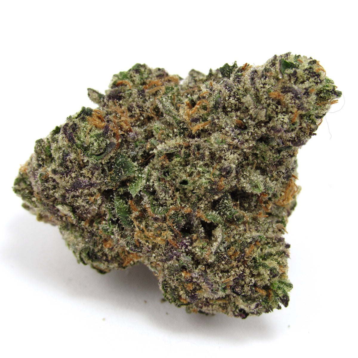 Gastro Pop cannabis flower from The Green Leaf Cannabis—exotic Hybrid strain with frosty, purple-tinged buds and vibrant orange hairs, featuring a unique blend of sweet grape, gas, and funky soda aromas. Known for balanced, euphoric effects with a relaxing body high, perfect for day or evening use.