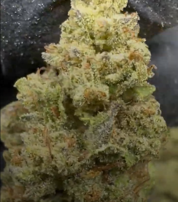 Grapes & Cream cannabis flower from The Green Leaf Cannabis—Hybrid strain with vibrant green and purple buds, coated in sticky trichomes and bursting with a sweet grape and creamy vanilla aroma. Offers balanced effects for relaxation, stress relief, and mood elevation.