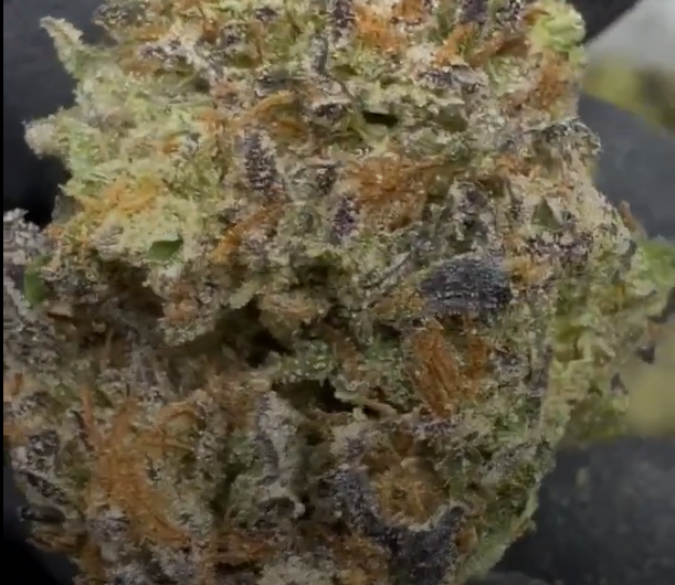 Insane Pound Cake cannabis flower from The Green Leaf Cannabis—Indica-dominant strain with frosty, dense buds in dark green and purple hues, featuring a rich dessert-like aroma of sweet vanilla, cream, and gas. Known for deeply relaxing effects ideal for stress, anxiety, and sleep support.