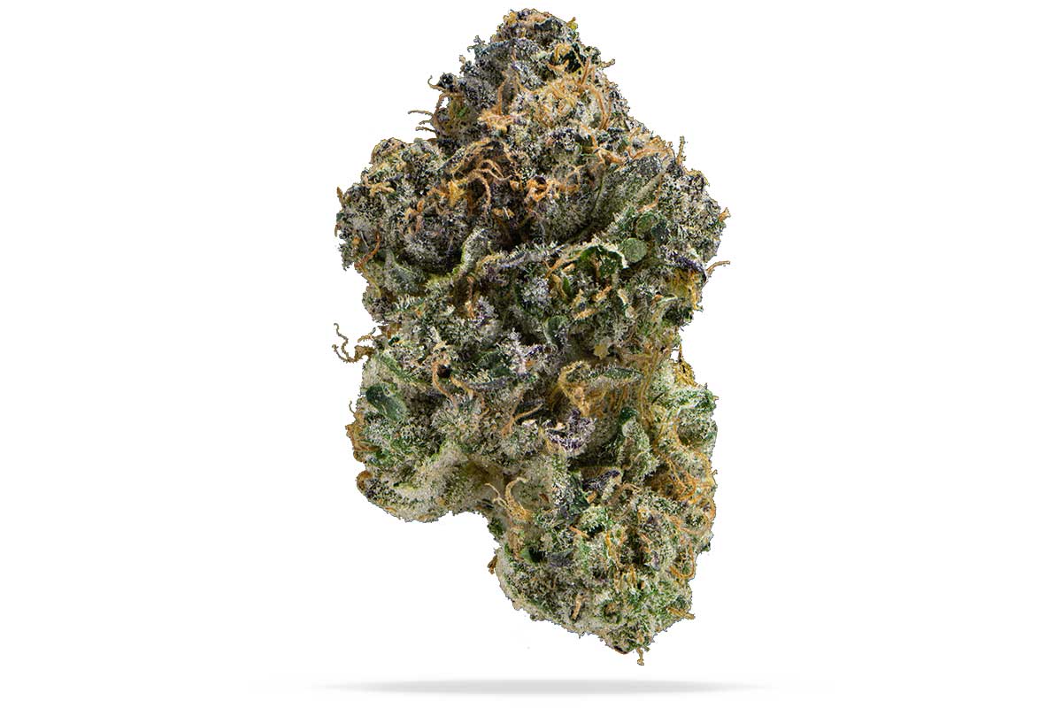 Permanent Marker cannabis flower from The Green Leaf Cannabis—highly sought-after Hybrid strain with dark purple, dense buds drenched in trichomes, emitting a strong aroma of gas, funk, and floral sweetness. Known for its potent, long-lasting effects that blend cerebral euphoria with deep body relaxation.