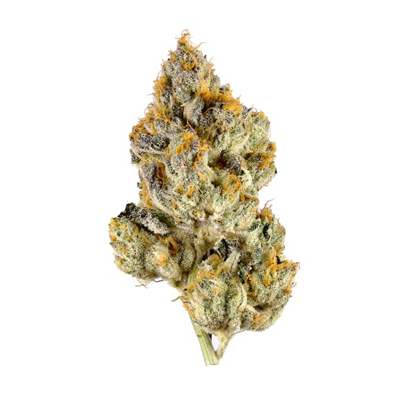 jet fuel-sativa-strain-cannabis-flower-thca flower-weed