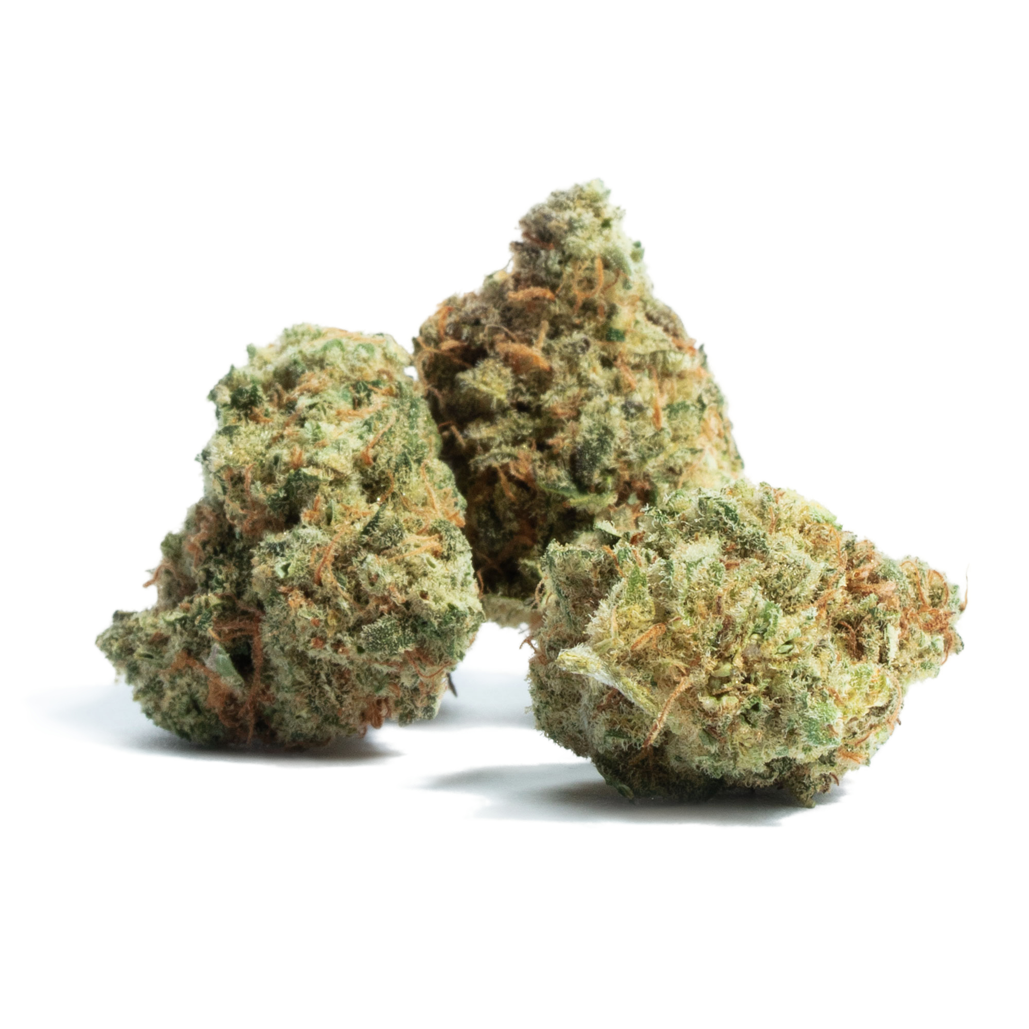 Sugar Momma cannabis flower from The Green Leaf Cannabis—Hybrid strain with frosty, resin-rich buds in light green and orange tones, emitting a sweet, creamy, and floral aroma. Known for its uplifting, euphoric effects paired with gentle body relaxation, ideal for daytime or social use.
