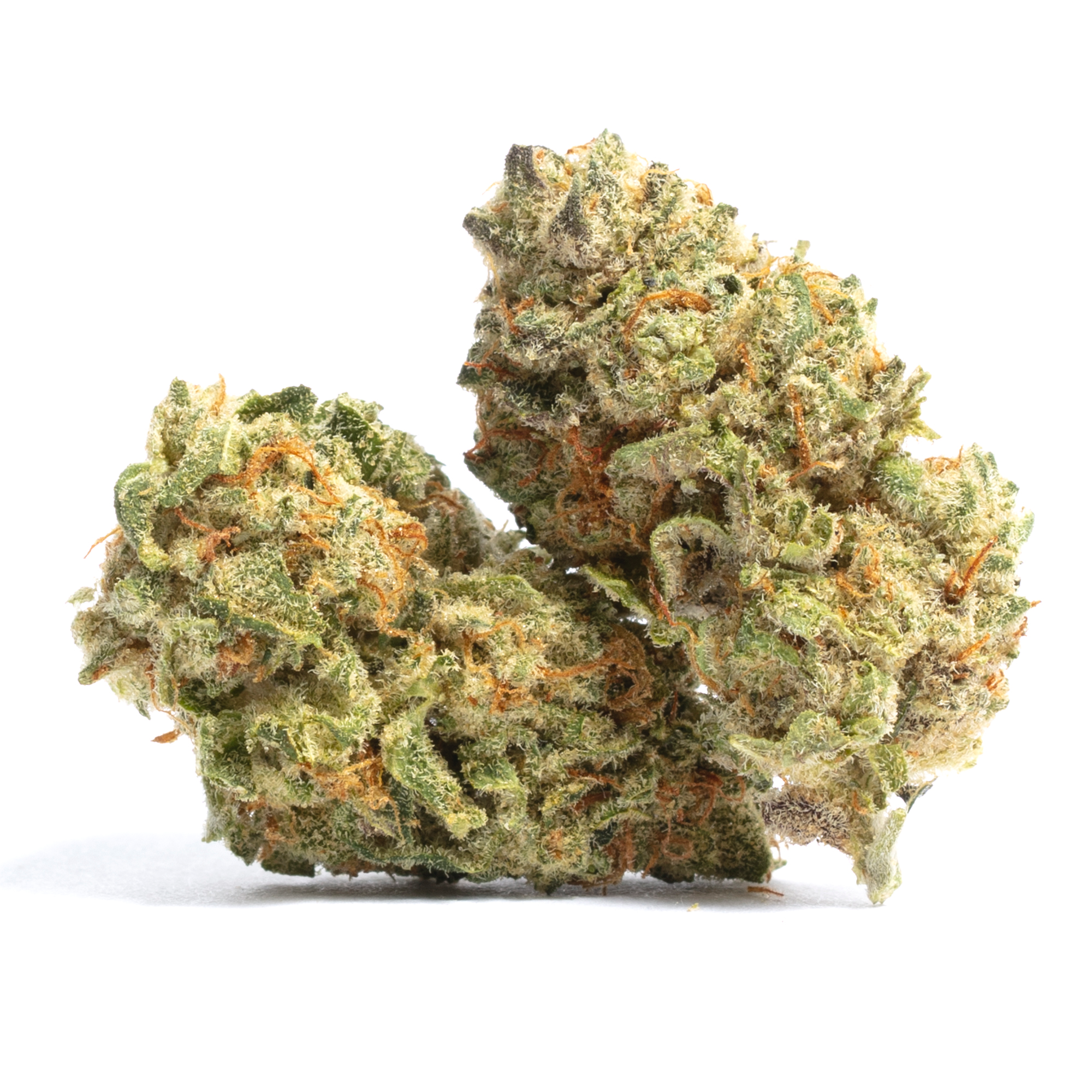 Tangerine Dream cannabis flower from The Green Leaf Cannabis—sativa-dominant strain with bright green buds, orange hairs, and a citrus-forward aroma. Known for uplifting effects, mental clarity, and daytime energy, coated in glistening trichomes for premium quality.