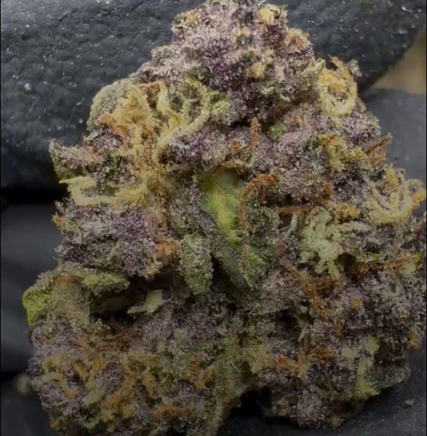 Tropicana Cherry cannabis flower from The Green Leaf Cannabis—sativa-leaning Hybrid with vibrant green and purple buds, covered in glistening trichomes and orange hairs. Bursting with sweet citrus and cherry aromas, this strain delivers uplifting, energetic effects perfect for daytime use.