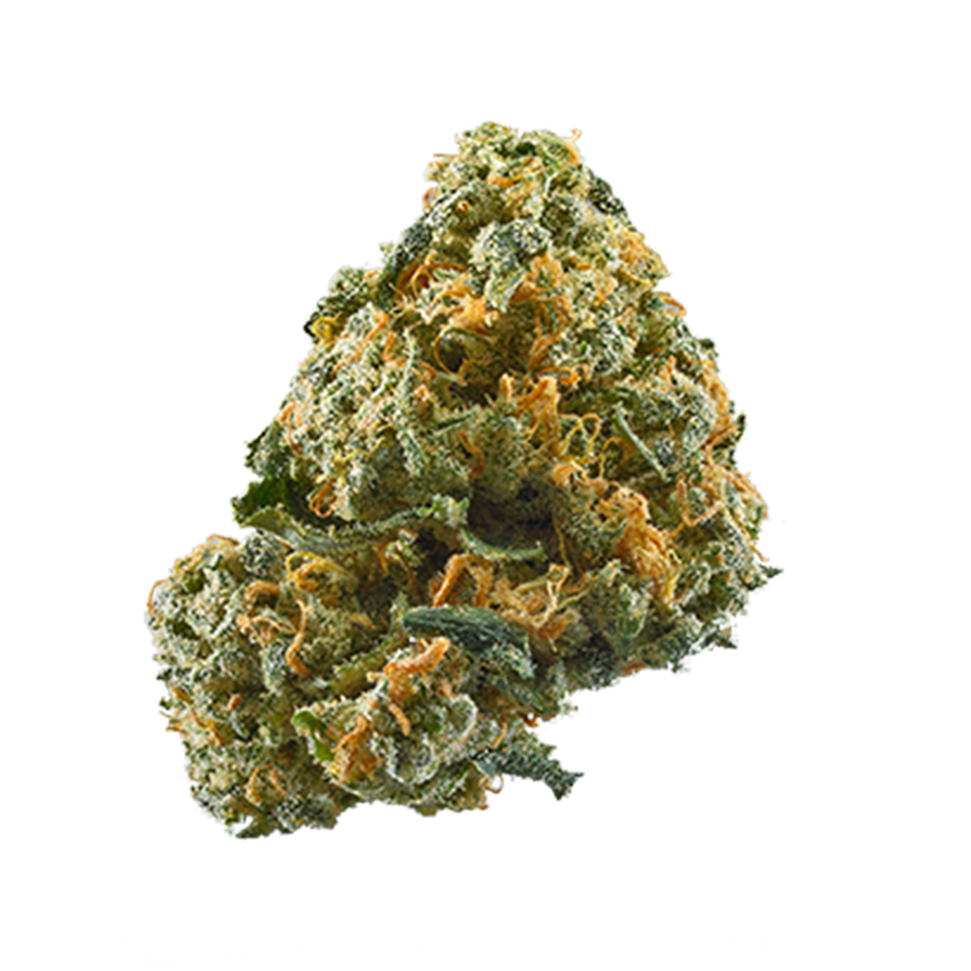 White Devil cannabis flower from The Green Leaf Cannabis—Sativa-dominant strain with light green, crystal-covered buds and fiery orange pistils. Known for its sharp, piney aroma with subtle spice, delivering energetic, focused, and uplifting cerebral effects ideal for daytime use.